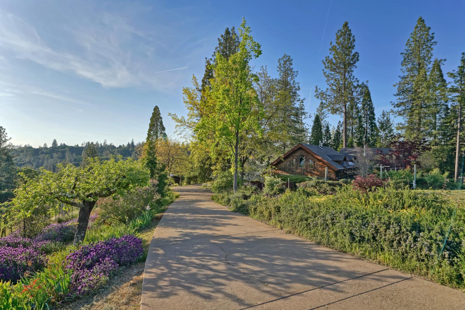 2399 Kingsgate Road Placerville, CA 95667 - Photo 5 of 89