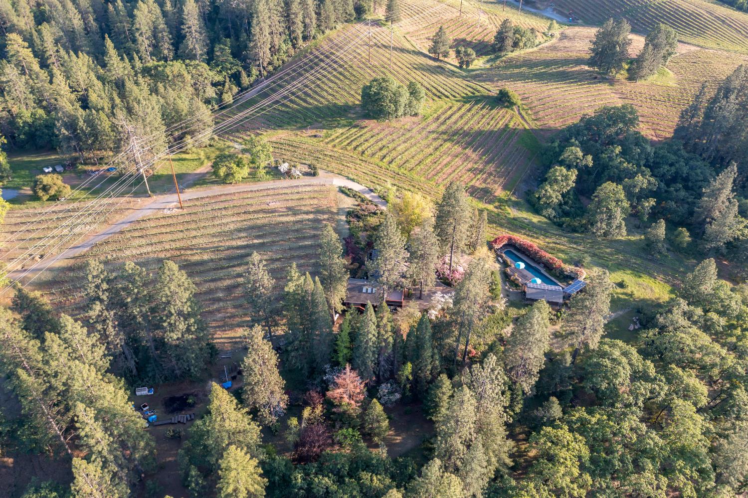 2399 Kingsgate Road Placerville, CA 95667 - Photo 63 of 89