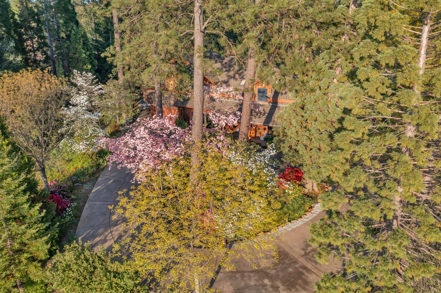 2399 Kingsgate Road Placerville, CA 95667 - Photo 64 of 89