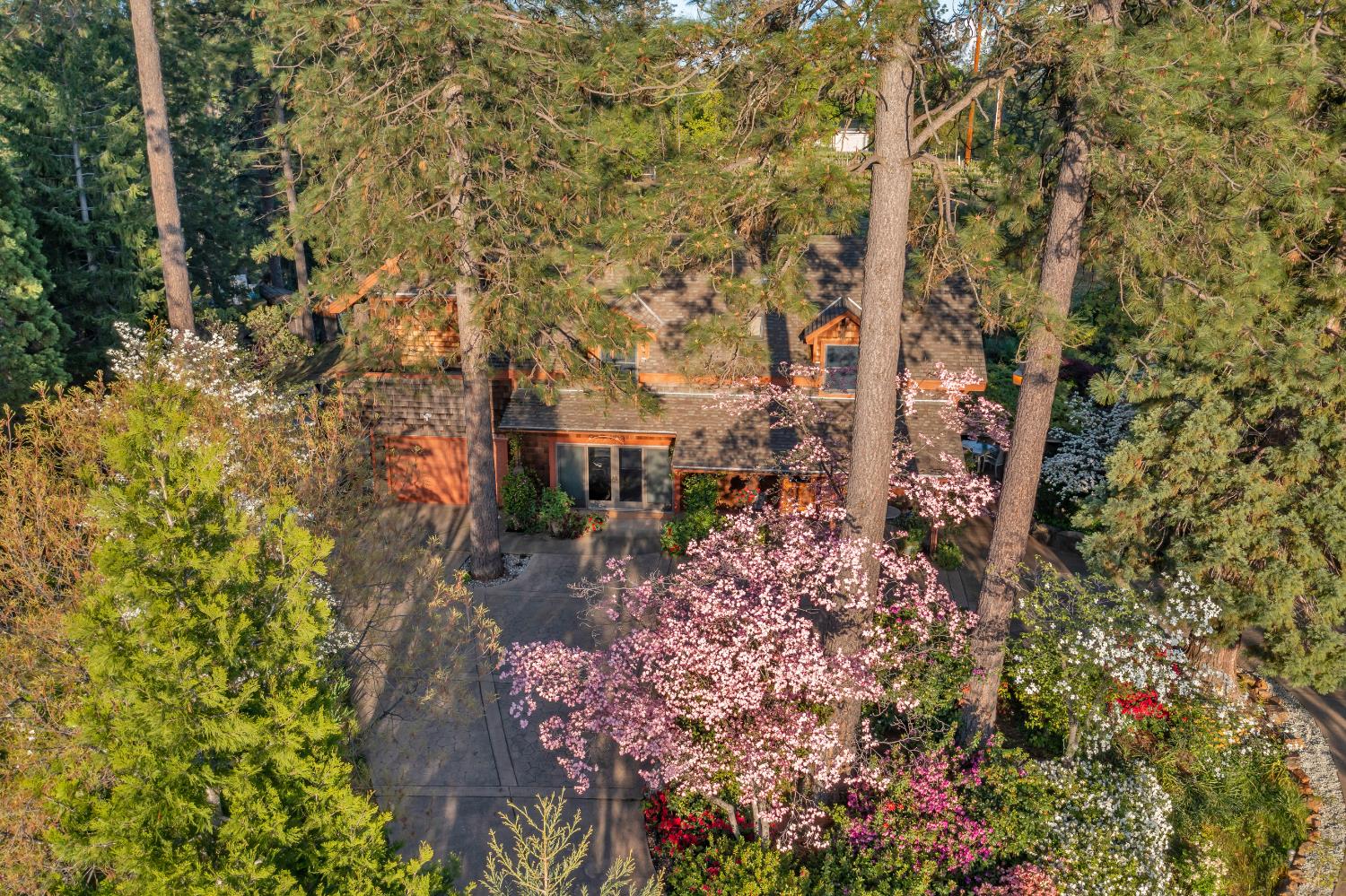 2399 Kingsgate Road Placerville, CA 95667 - Photo 65 of 89