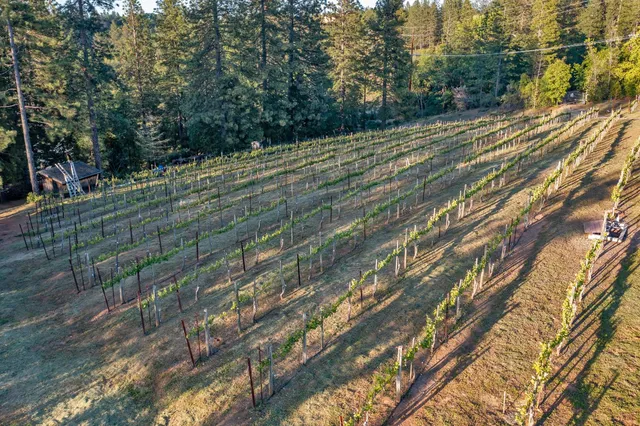 $1,315,000 | 2399 Kingsgate Road, Placerville, CA 95667