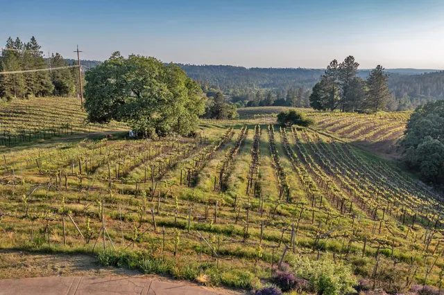 $1,315,000 | 2399 Kingsgate Road, Placerville, CA 95667