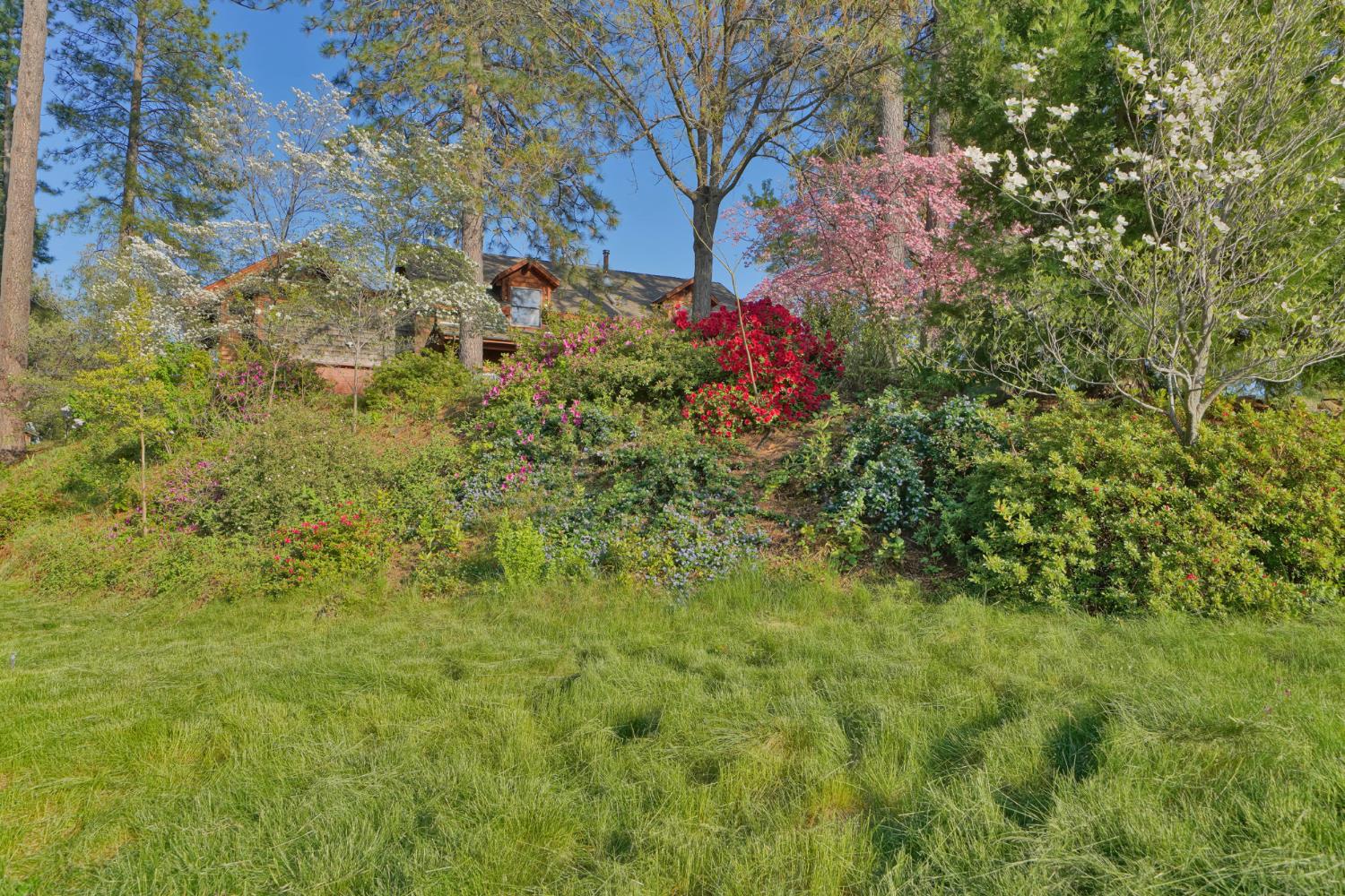2399 Kingsgate Road Placerville, CA 95667 - Photo 69 of 89 a backyard of a house with lots of green space