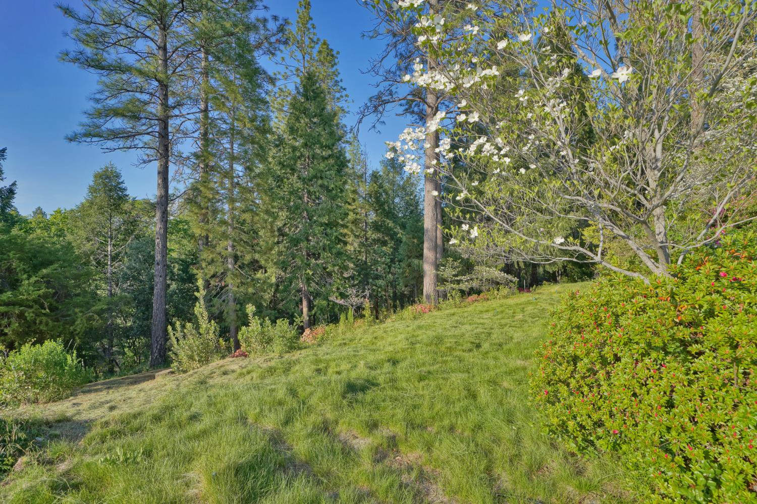 2399 Kingsgate Road Placerville, CA 95667 - Photo 70 of 89