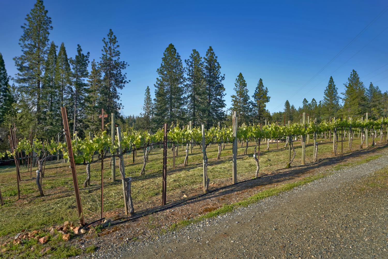 2399 Kingsgate Road Placerville, CA 95667 - Photo 74 of 89