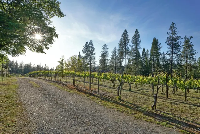 $1,315,000 | 2399 Kingsgate Road, Placerville, CA 95667