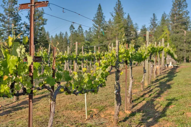 $1,315,000 | 2399 Kingsgate Road, Placerville, CA 95667