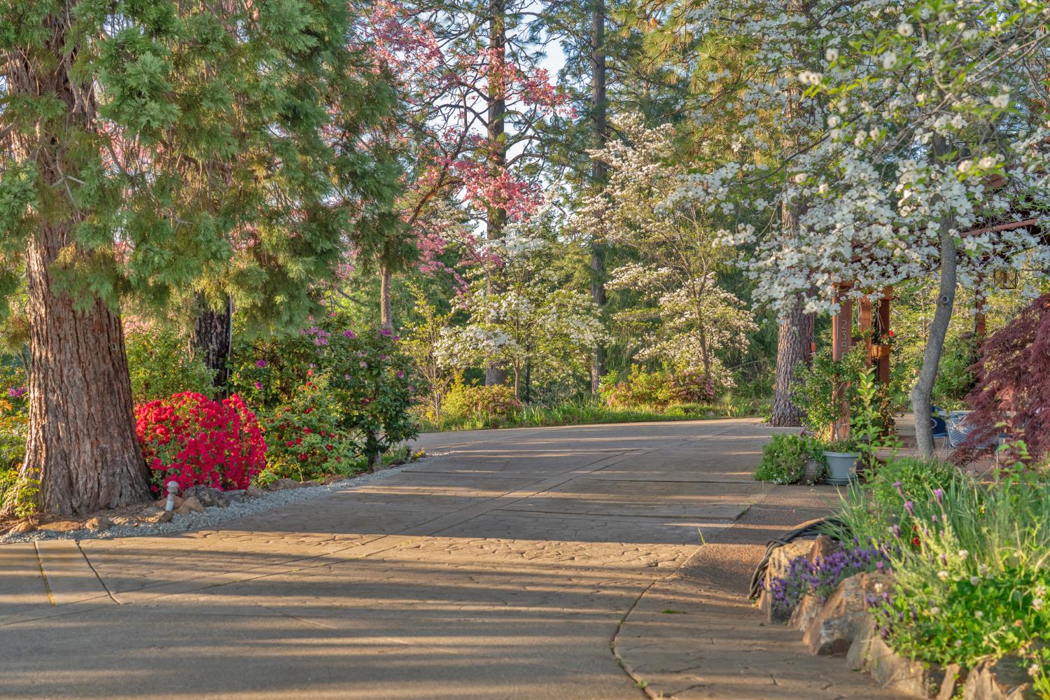 2399 Kingsgate Road Placerville, CA 95667 - Photo 82 of 89