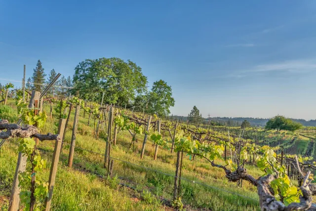 $1,315,000 | 2399 Kingsgate Road, Placerville, CA 95667