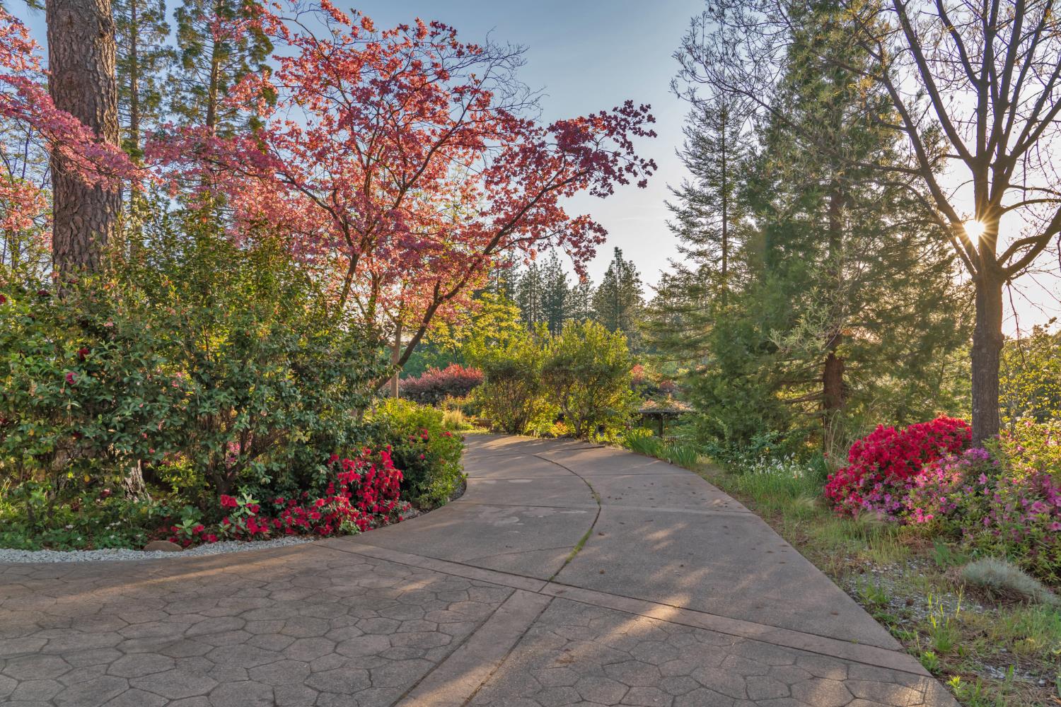 2399 Kingsgate Road Placerville, CA 95667 - Photo 84 of 89