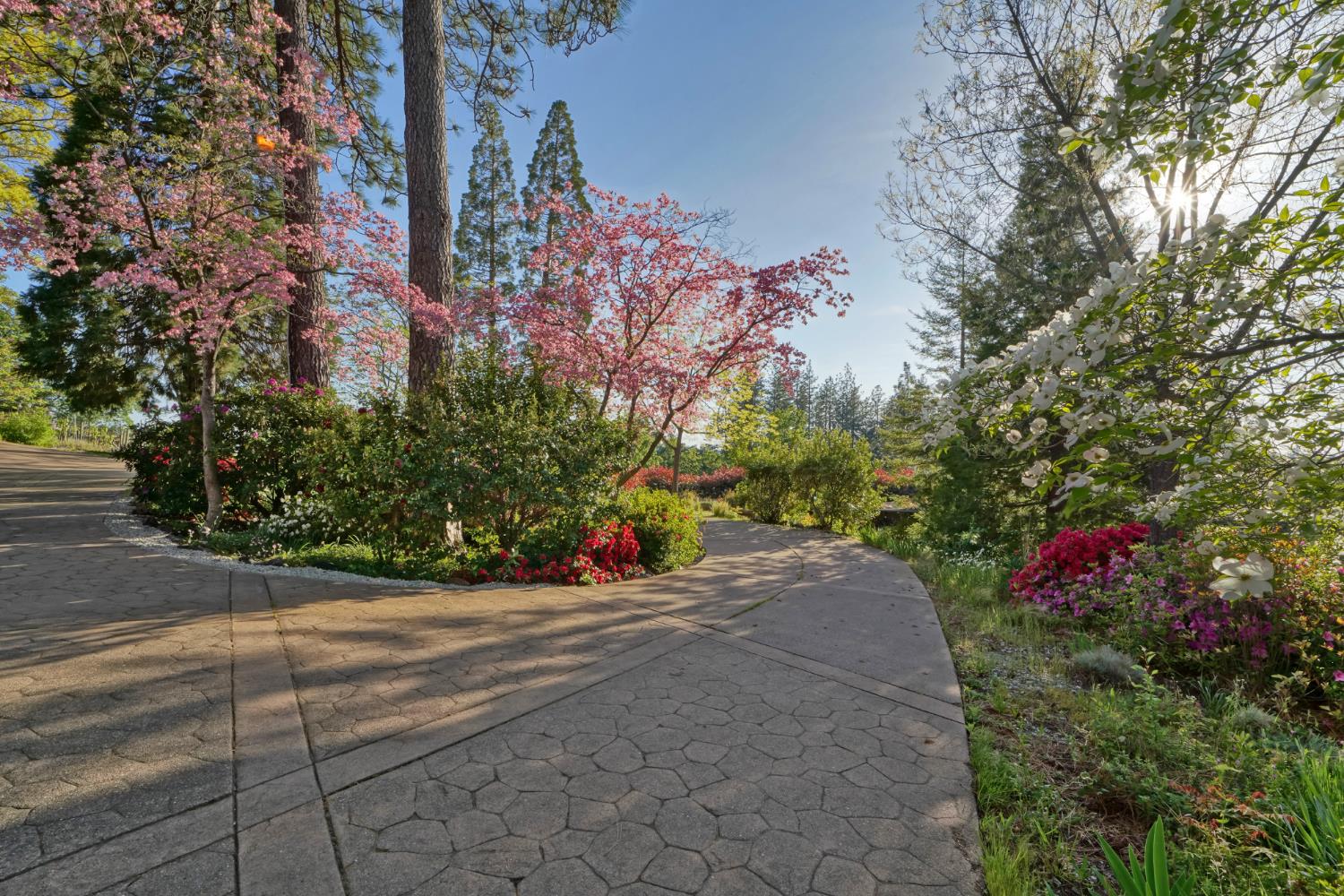 2399 Kingsgate Road Placerville, CA 95667 - Photo 9 of 89