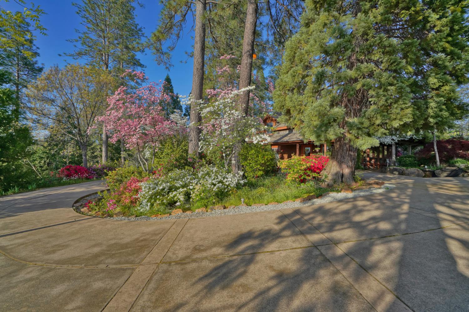 2399 Kingsgate Road Placerville, CA 95667 - Photo 10 of 89 a view of a garden with flowers