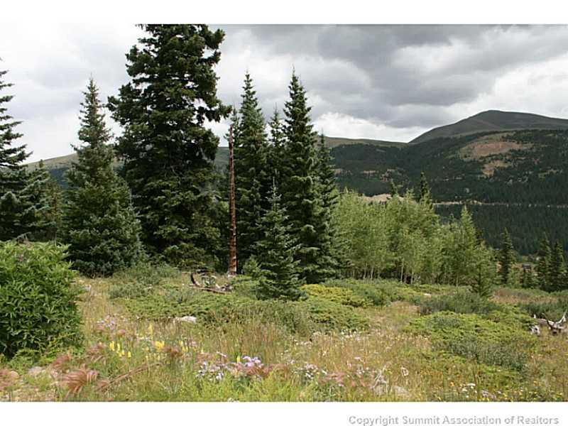 0 Quartzville Road Alma, CO 80420 - Photo 1 of 16 Gallery Image 1