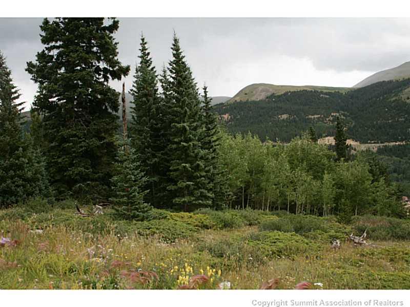 0 Quartzville Road Alma, CO 80420 - Photo 13 of 16 Gallery Image 13