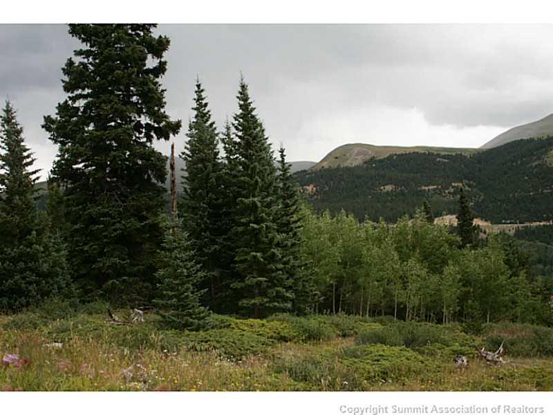 0 Quartzville Road Alma, CO 80420 - Photo 14 of 16 Gallery Image 14