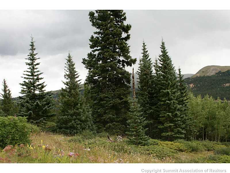 0 Quartzville Road Alma, CO 80420 - Photo 15 of 16 Gallery Image 15
