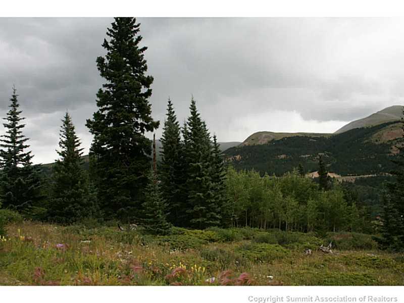 0 Quartzville Road Alma, CO 80420 - Photo 16 of 16 Gallery Image 16