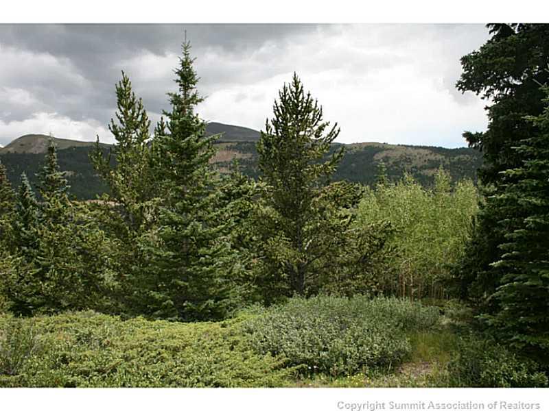 0 Quartzville Road Alma, CO 80420 - Photo 3 of 16 Gallery Image 3