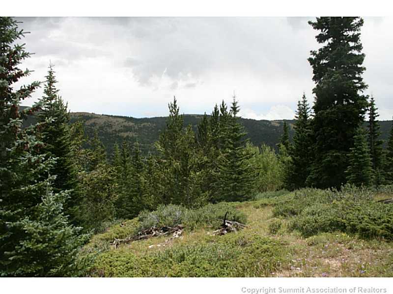 0 Quartzville Road Alma, CO 80420 - Photo 4 of 16 Gallery Image 4