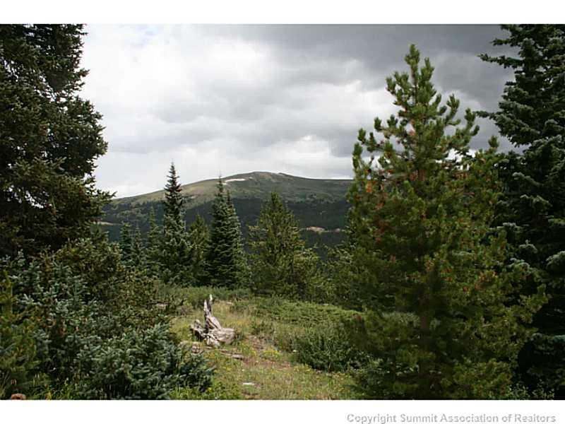 0 Quartzville Road Alma, CO 80420 - Photo 5 of 16 Gallery Image 5