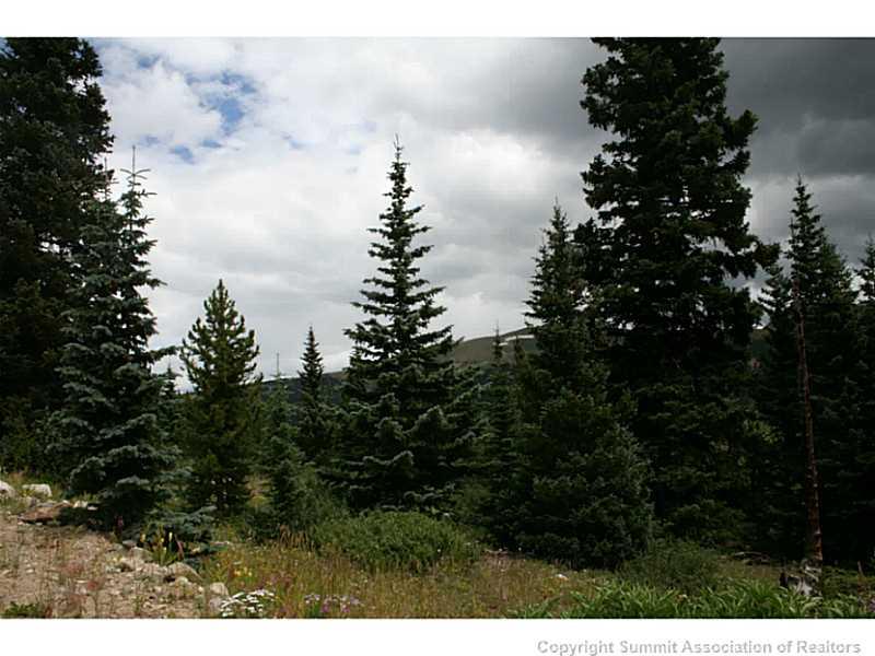 0 Quartzville Road Alma, CO 80420 - Photo 7 of 16 Gallery Image 7