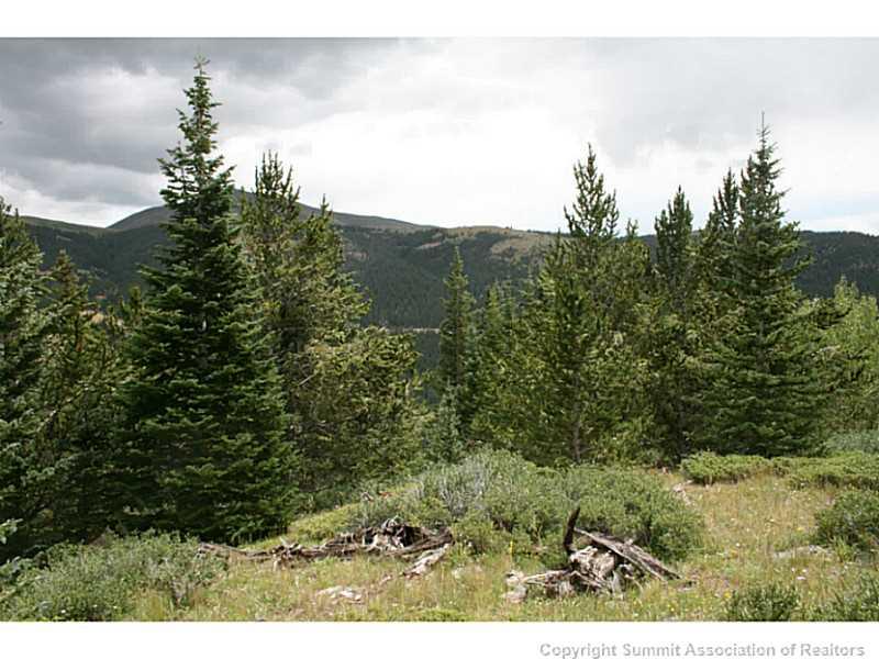 0 Quartzville Road Alma, CO 80420 - Photo 8 of 16 Gallery Image 8
