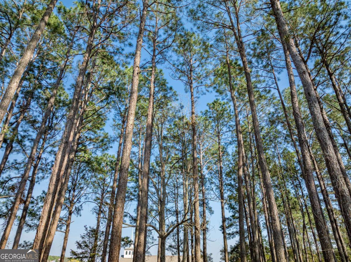 142 Brighton Road Tifton, GA 31794 - Photo 54 of 57