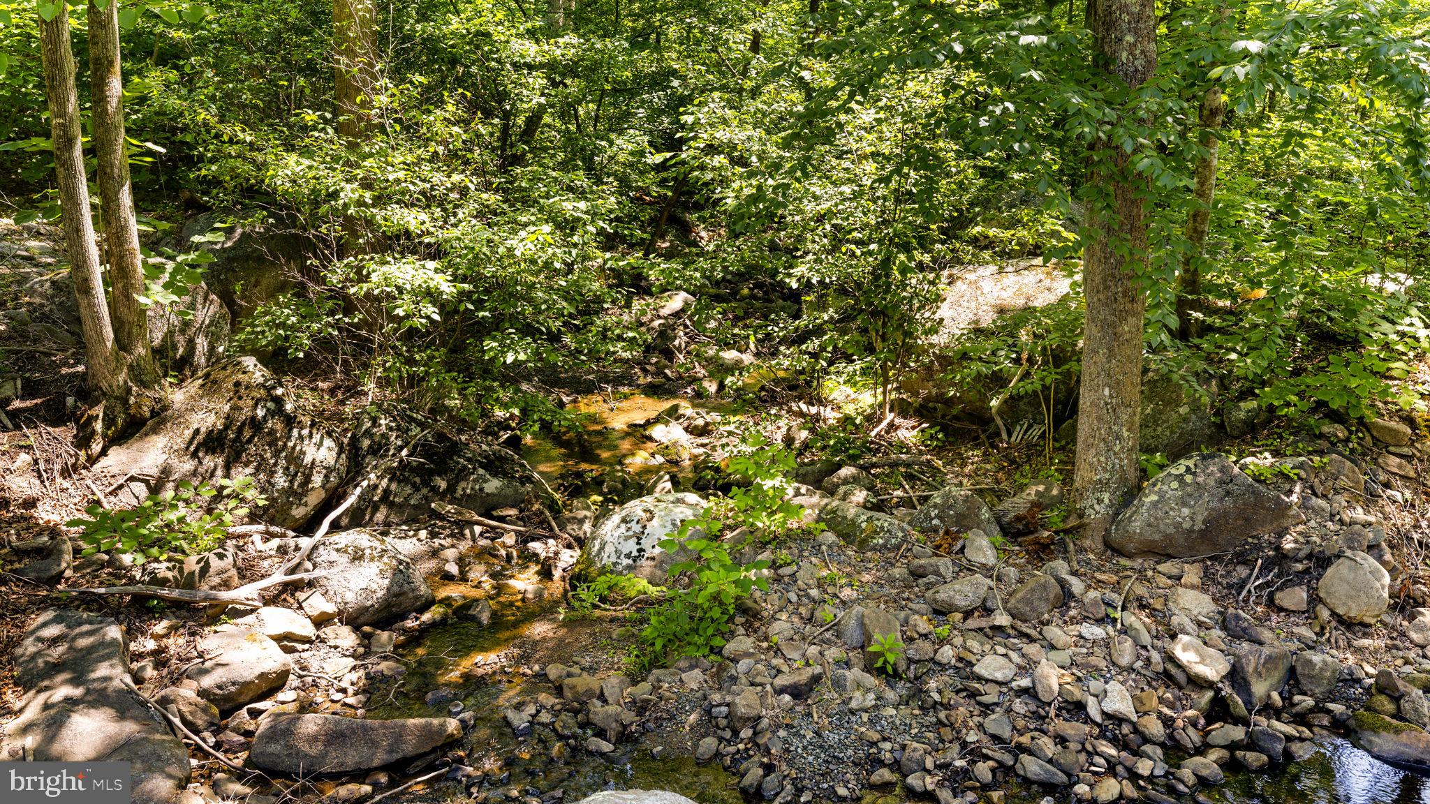 1319 Champe Plain Road Etlan, VA 22719 - Photo 47 of 63