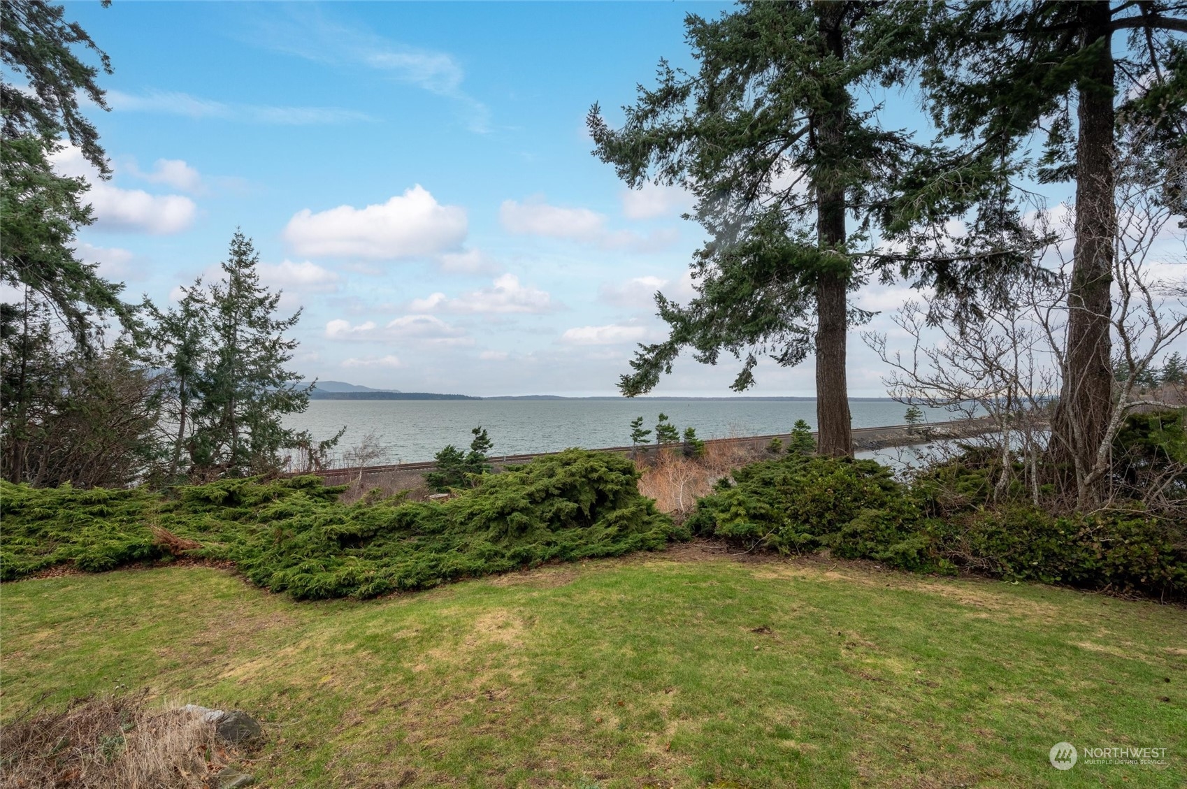101 Willow Road Bellingham, WA 98225 - Photo 11 of 40 a view of a yard with an tree and plants