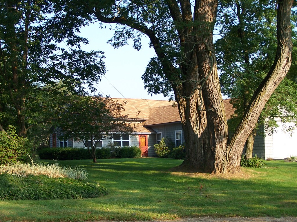 879 Wade Inn Road Becket, MA 01223 - Photo 1 of 29 a view of a big yard next to a house with a large tree