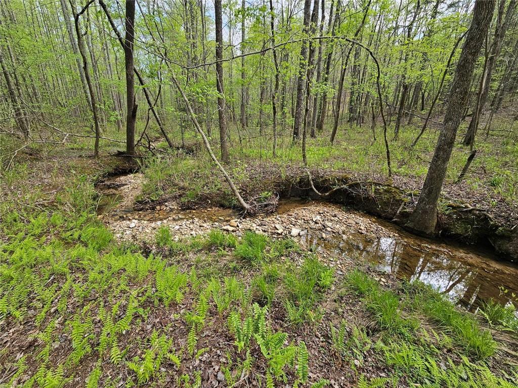 0 Talc Mine Road Jasper, GA 30143 - Photo 25 of 30 a view of a backyard
