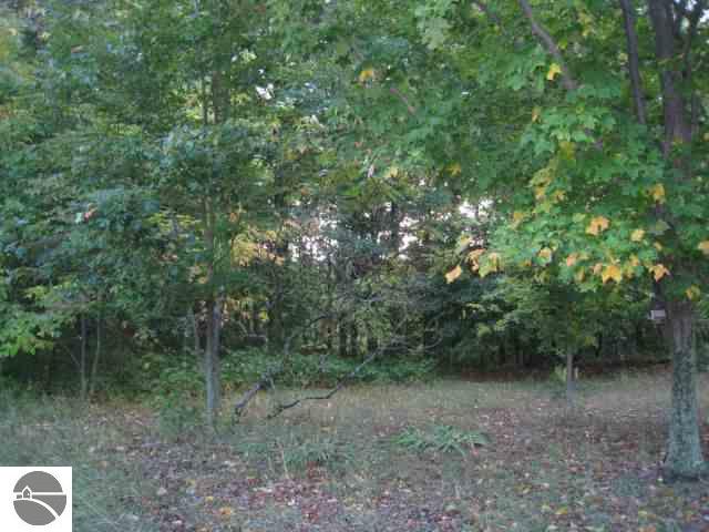 10485 Packingham Road Manton, MI 49663 - Photo 3 of 15 1697211-2.JPG