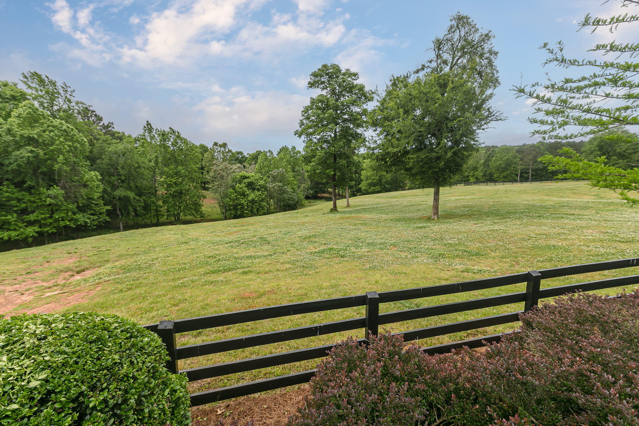 2649 Amity Road Washington, GA 30673 - Photo 38 of 57 64-web-or-mls-2649AmityRd_064