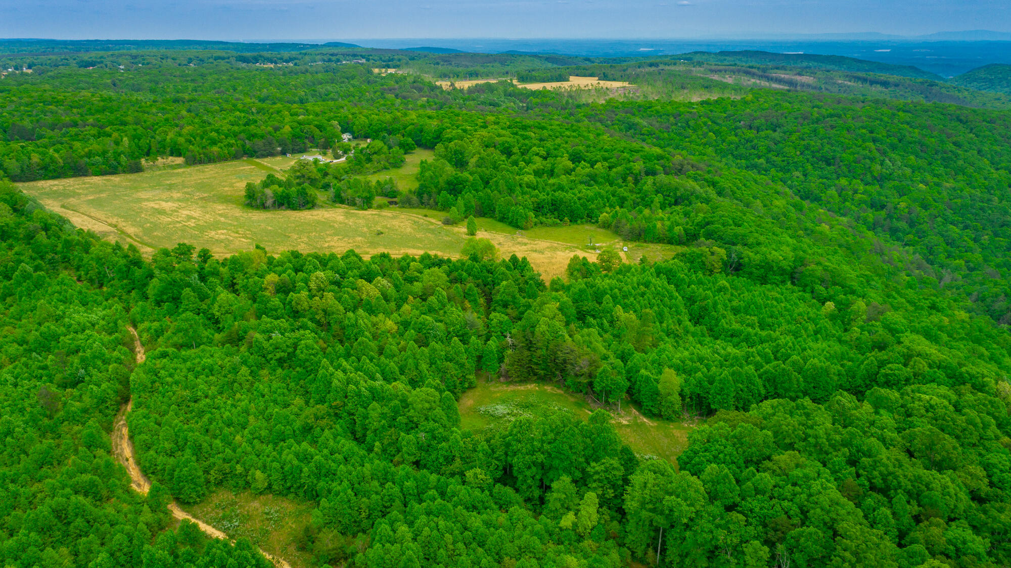 0 Ray Gadd Road Graysville, TN 37338 - Photo 17 of 109 Ray Gadd Road Lot HD-95