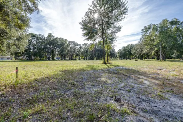 a view of a field with trees in the background