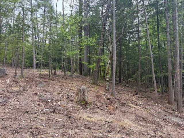 0 Route 114 North Sutton, NH 03260 - Photo 7 of 13