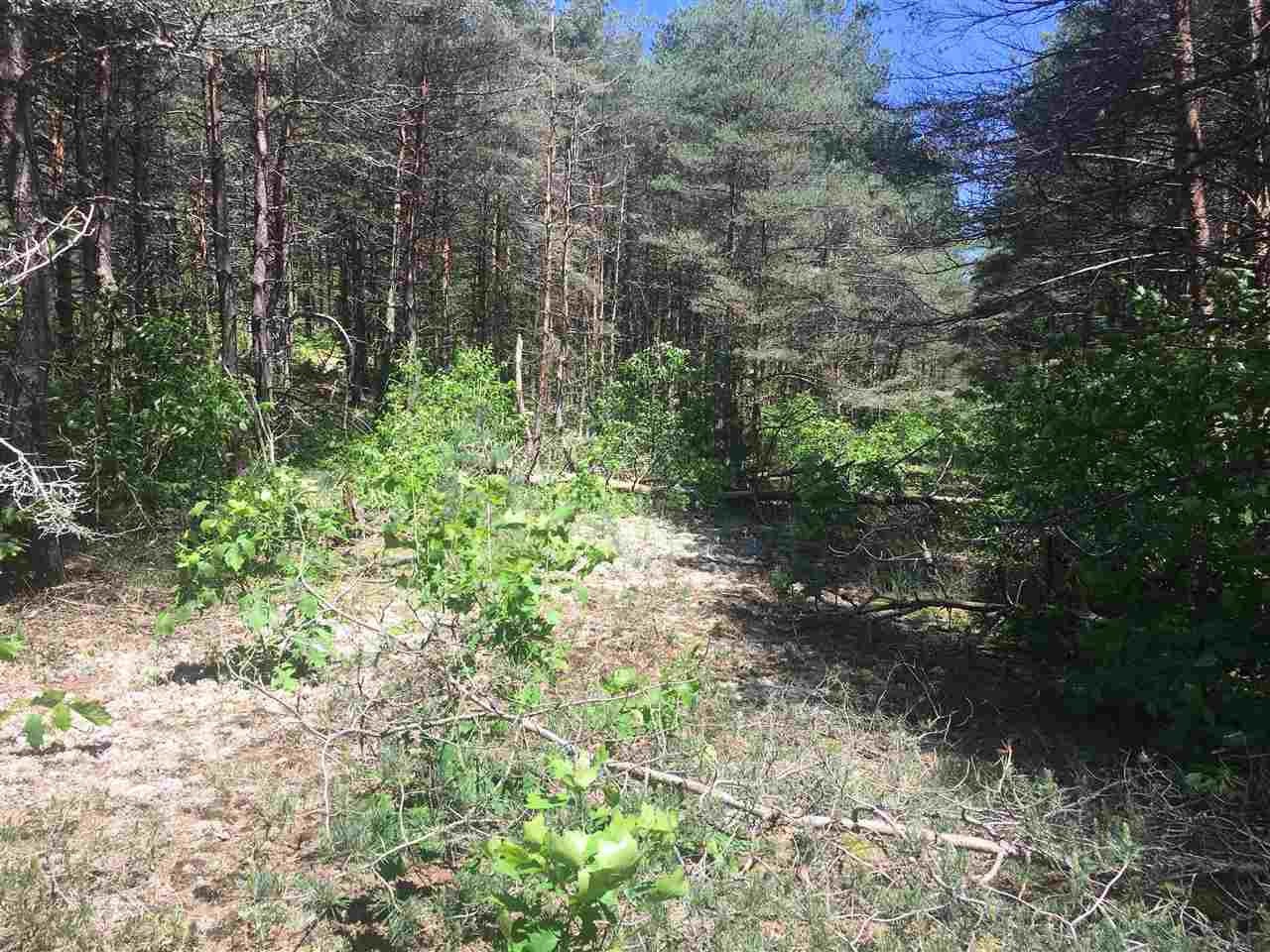 1221 North 41 1/2 Road Manton, MI 49663 - Photo 15 of 19 1876090-15.JPG