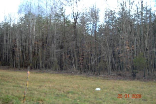 665 Darlington Heights Road Cullen, VA 23934 - Photo 4 of 10 Gallery Image 4