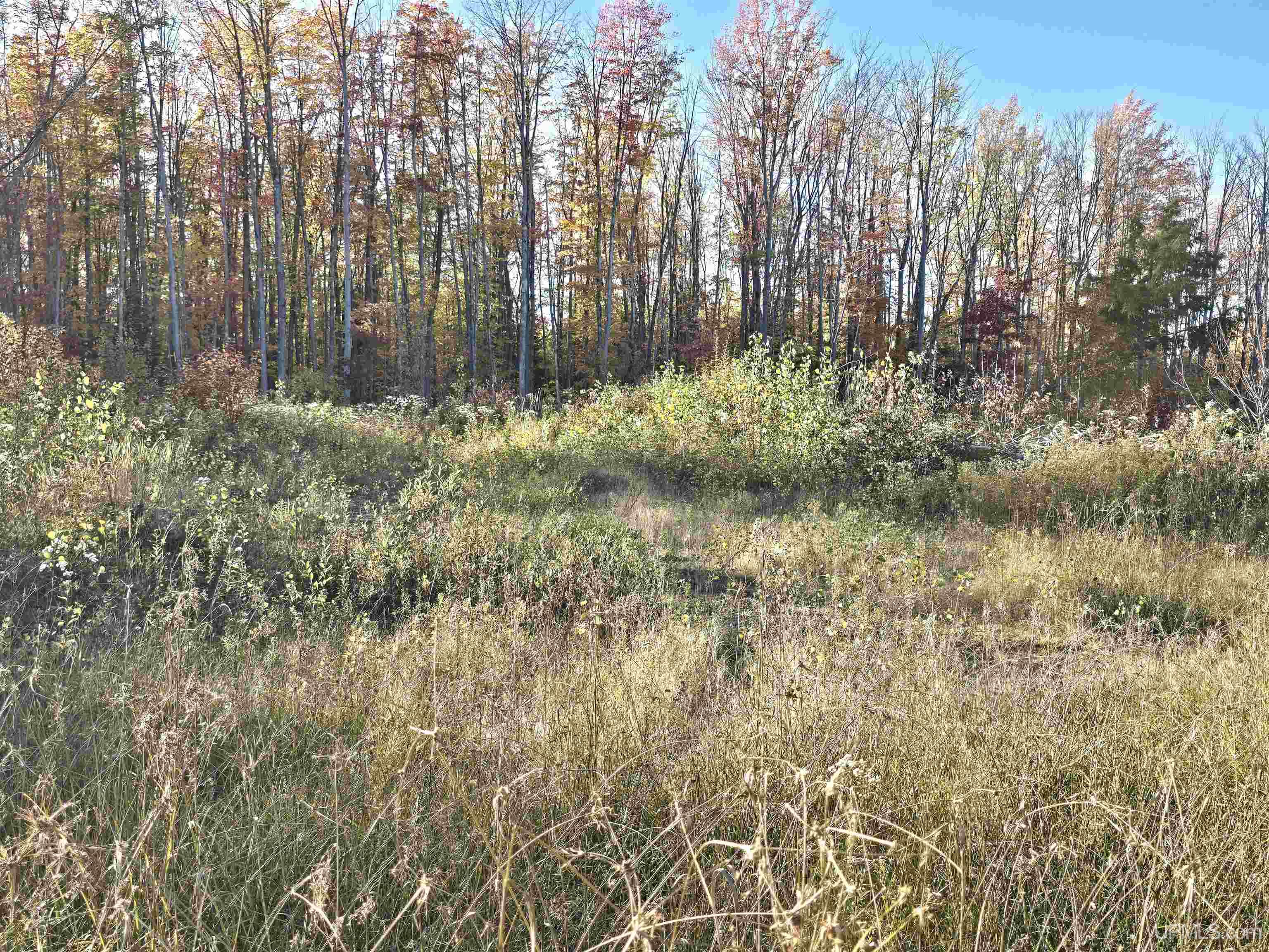 Tbd Beartown Road Baraga, MI 49908 - Photo 13 of 32 Gallery Image 13