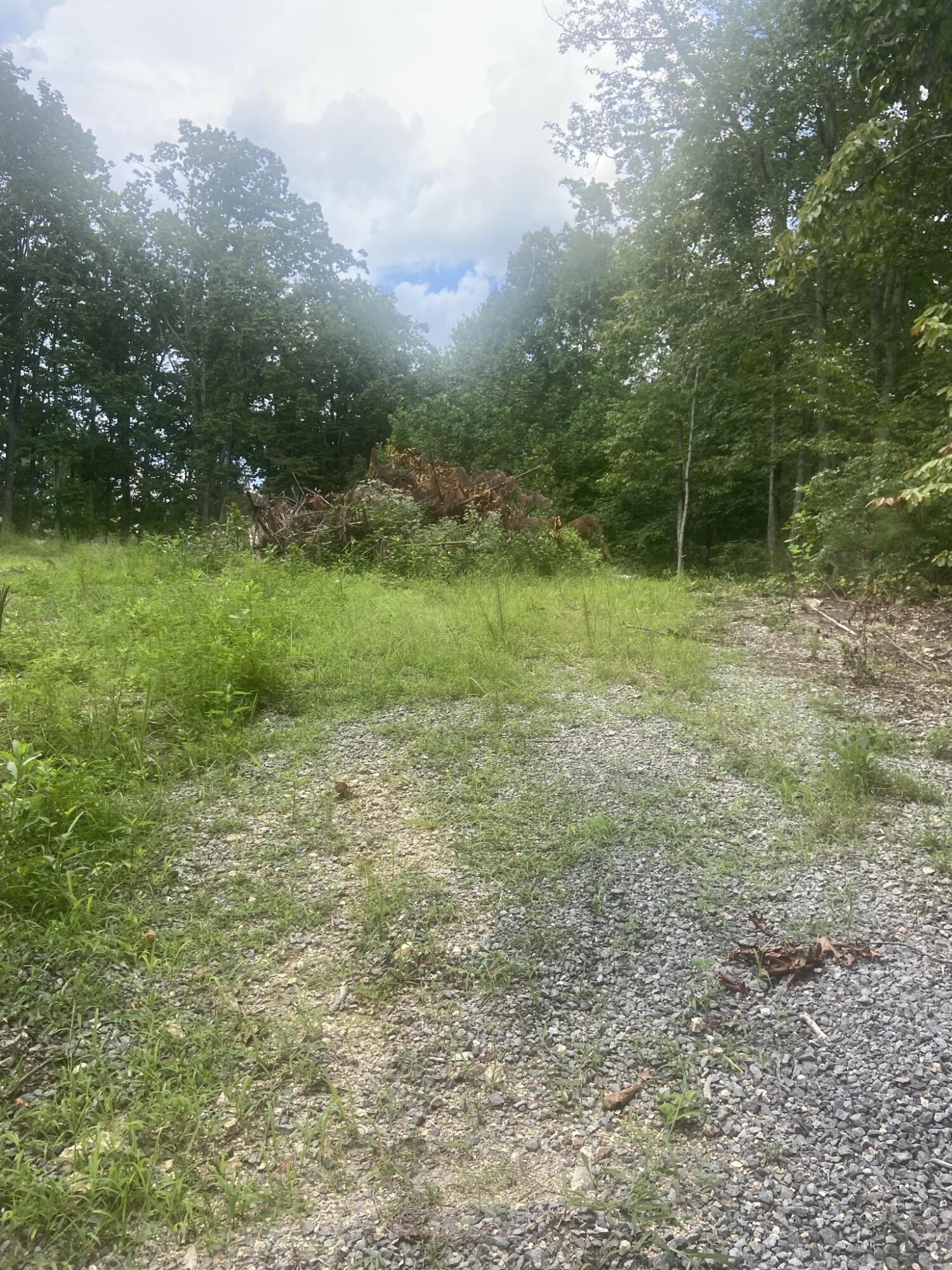 7 Northwest Mowery Road Cleveland, TN 37312 - Photo 5 of 5 Gallery Image 5