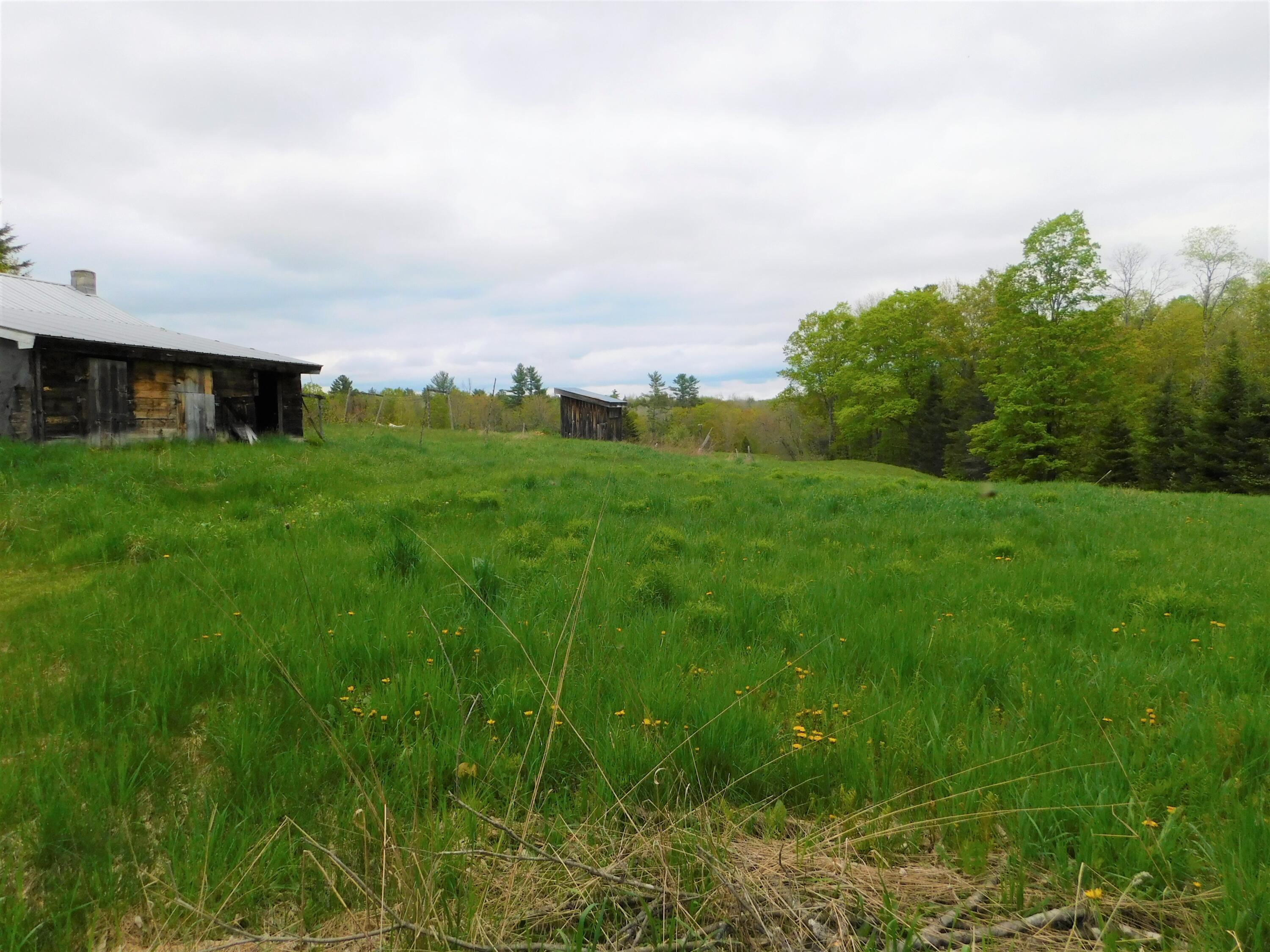 21 Harmony Road Wellington, ME 04942 - Photo 51 of 63 Land/Pasture