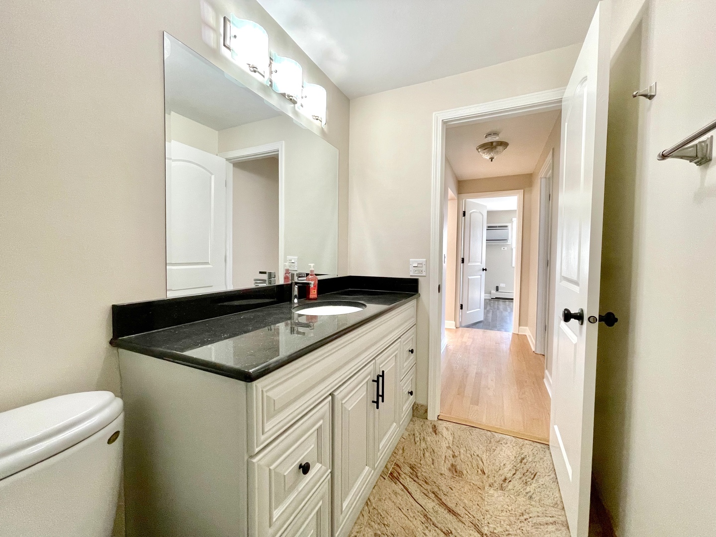 1258 Brown Street, Unit 302 Des Plaines, IL 60016 - Photo 13 of 17 a bathroom with a granite countertop sink and a mirror