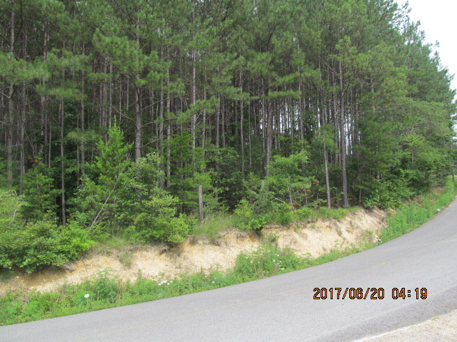 2811 Clement Road LaFayette, GA 30728 - Photo 1 of 1 Main View
