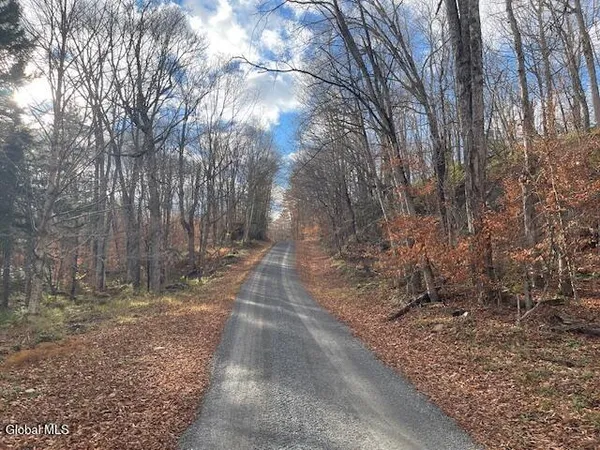 $248,500 | 1884 Goodnow Flow Road, Newcomb, NY 12852