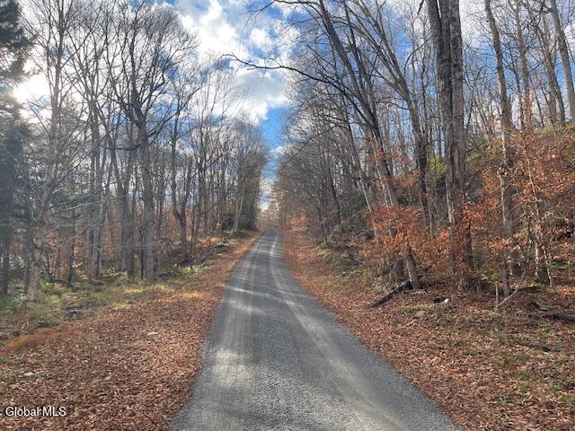 1884 Goodnow Flow Road Newcomb, NY 12852 - Photo 20 of 23 Goodflow Rd