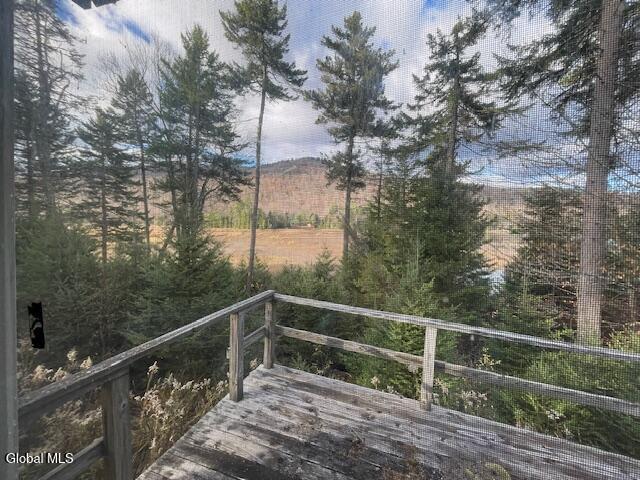 1884 Goodnow Flow Road Newcomb, NY 12852 - Photo 2 of 23 deck