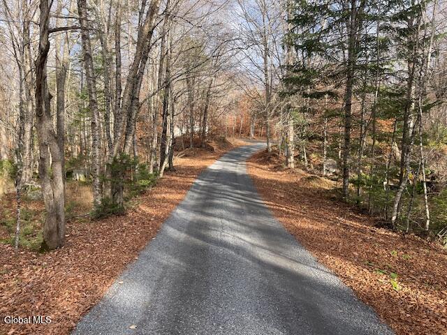 1884 Goodnow Flow Road Newcomb, NY 12852 - Photo 21 of 23 Goodnow Flow rd