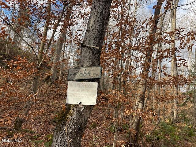 1884 Goodnow Flow Road Newcomb, NY 12852 - Photo 22 of 23 1884 Goodnow Flow Rd