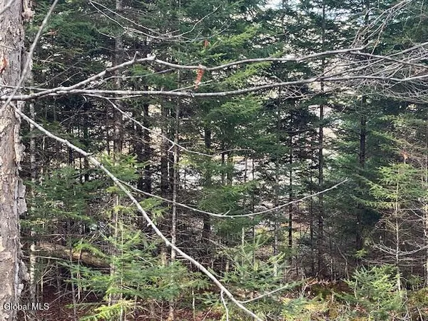 $248,500 | 1884 Goodnow Flow Road, Newcomb, NY 12852