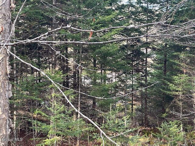 1884 Goodnow Flow Road Newcomb, NY 12852 - Photo 23 of 23 woods